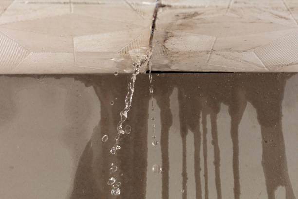 Professional Water Damage Repair technician working in Rockledge, PA